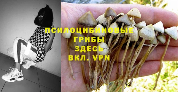 МДПВ Володарск