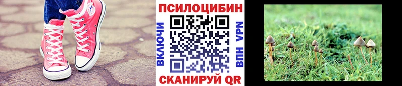 Псилоцибиновые грибы мухоморы  Кинель 