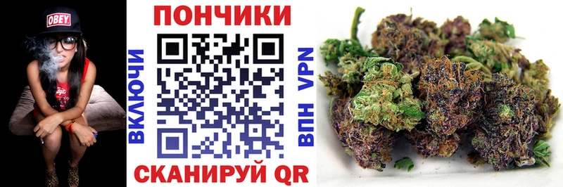 Конопля конопля  Кинель 